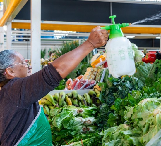 Prefeitura entrega 142 Termos de Permissão para o Mercado do Porto nesta quarta
