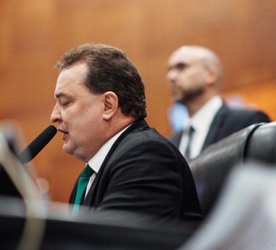 A Democracia e o papel da Assembleia Legislativa!