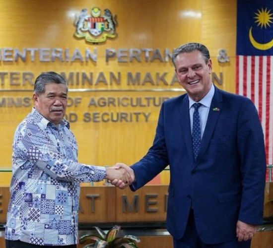 Brasil retoma exportações de carne de frango para a Malásia e conquista seis novos mercados