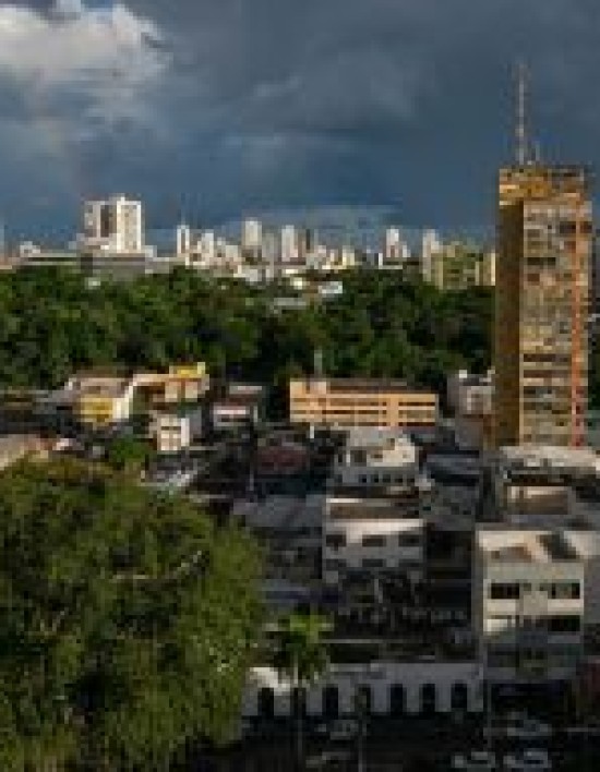 Prefeitura de Cuiabá apresenta Plano Diretor de Arborização Urbana na Câmara Municipal