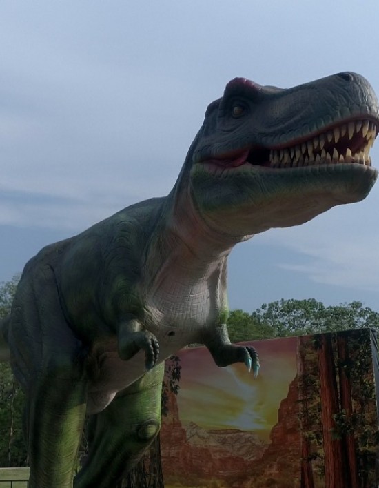 EXPOSIÇÃO VALE DOS DINOSSAUROS EM VÁRZEA GRANDE