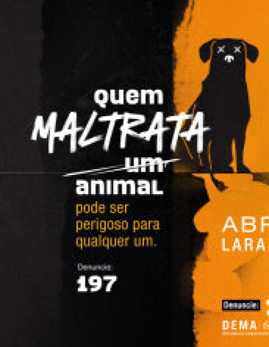 Campanha da ALMT para conscientizar sobre abuso contra animais é destaque em site internacional