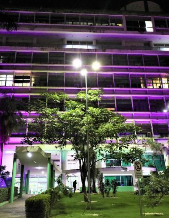 Palácio Alencastro fica lilás em prol da campanha de combate à violência contra a mulher