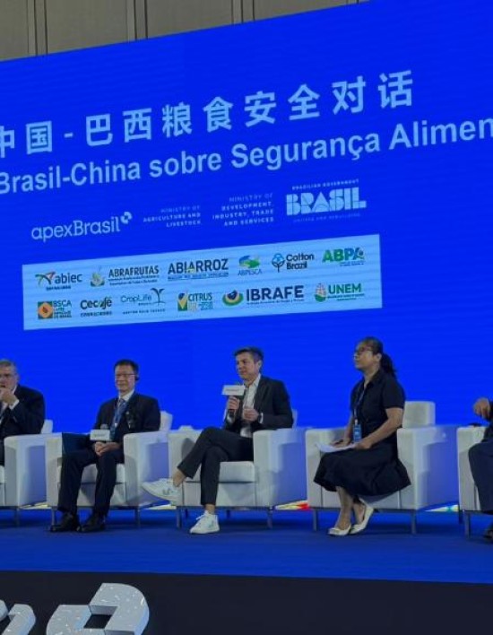 China abre mercado para DDG e Mato Grosso sai na frente com articulação estratégica da Sedec