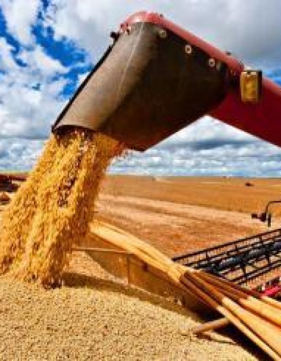 Mato Grosso terá economia aquecida em 2025, enquanto 22 estados desaceleram