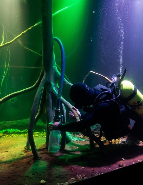 Aquário Municipal mantém limpeza e cuidados com apoio dos Bombeiros
