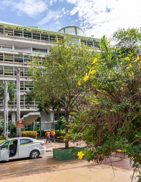 Semana do Meio Ambiente em Cuiabá terá palestras, trilhas e ações comunitárias
