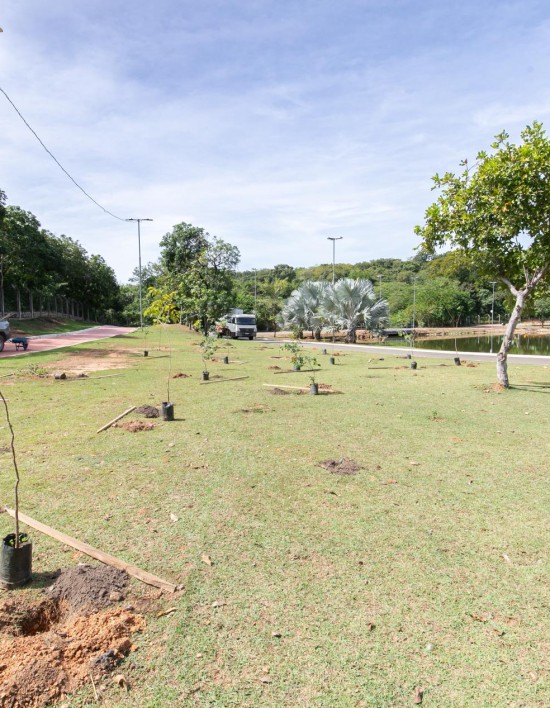Parque das Águas recebe 200 mudas de espécies nativas