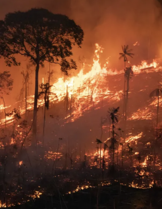 Amazônia tem pior agosto de queimadas dos últimos 12 anos