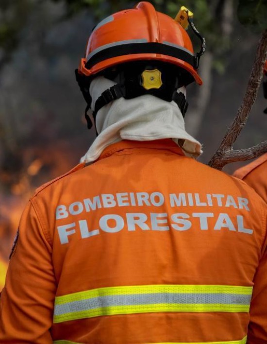 Corpo de Bombeiros realiza Congresso Internacional de Gestão de Incêndios Florestais a partir de segunda-feira (16)