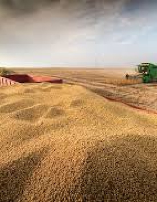 Agronegócio representa 25% do PIB e já alimenta 11% da população mundial