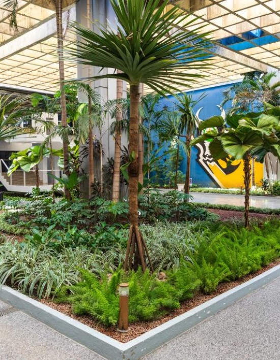 Evento em Cuiabá vai discutir desafios e soluções para agenda climática no setor agrícola