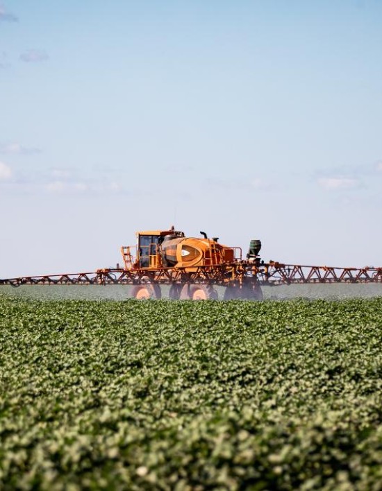 Mato Grosso puxa alta na estimativa de produção agrícola e consolida liderança nacional