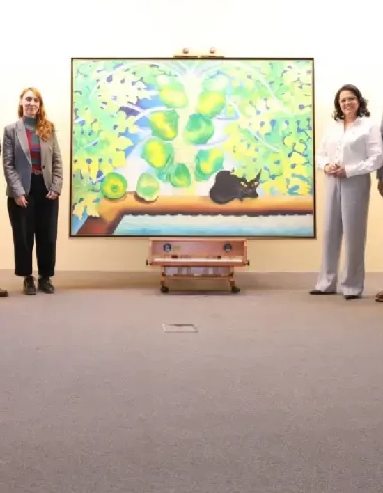 Sebrae/MT doa obra de Gervane de Paula ao Museu Nacional da República