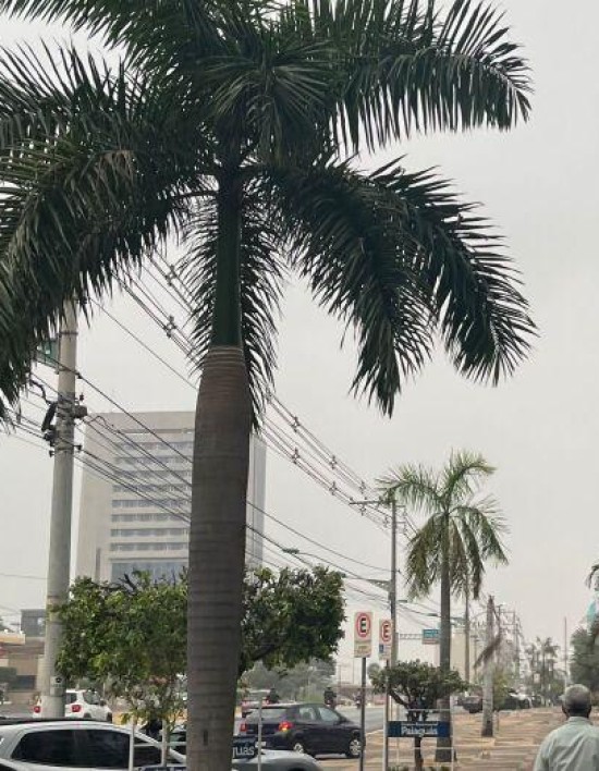 Termômetros despencam e Cuiabá deve ter temperatura de 12°C no final de semana