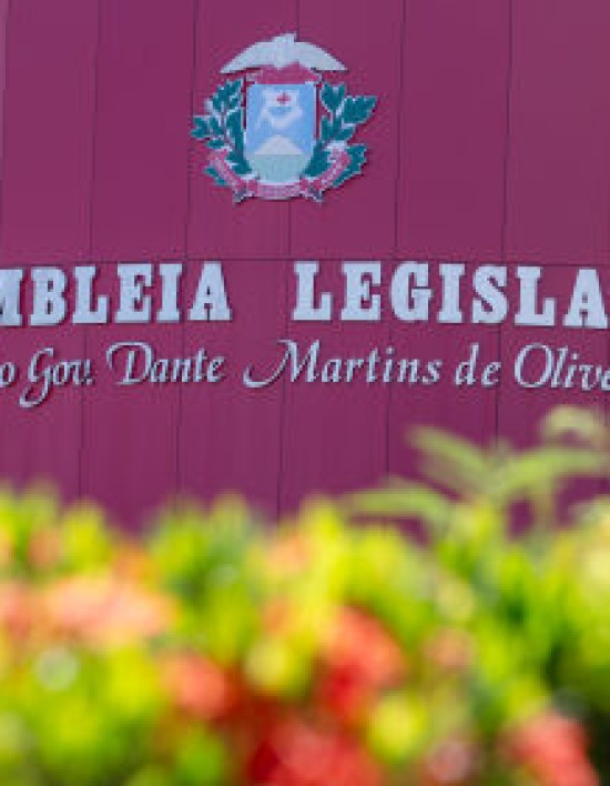 ALMT tem novas câmaras setoriais temáticas