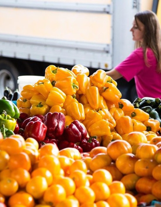 Governo lança AgroAmigo no Centro-Oeste com R$ 500 milhões para fortalecer a agricultura familiar