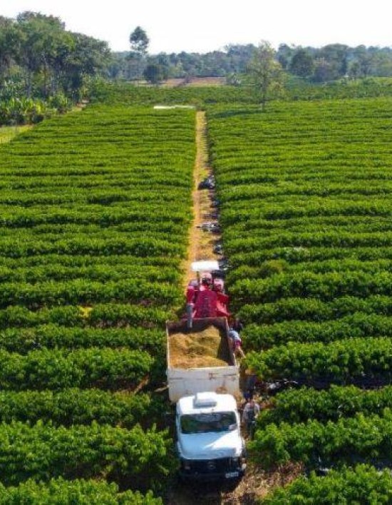 Governo de Mato Grosso isenta taxa de inscrição estadual para produtores rurais