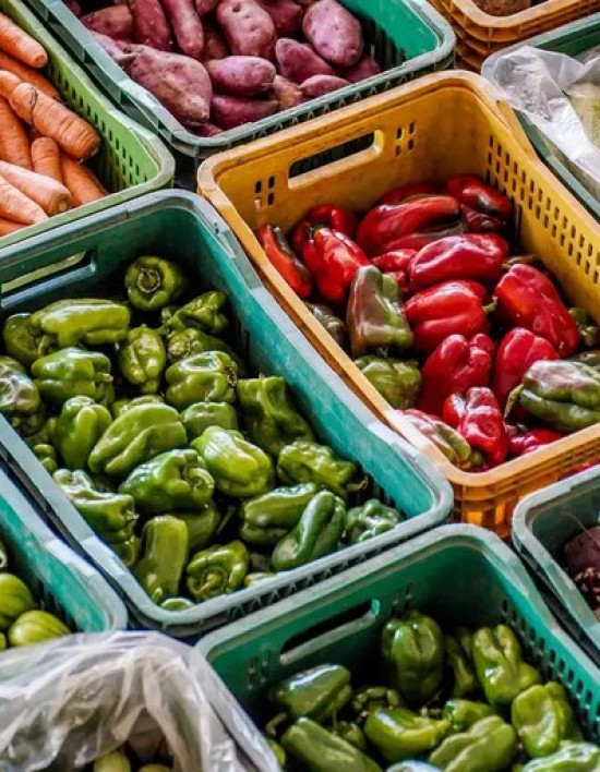 País teve deflação de 0,11% em agosto, puxada por queda em habitação e alimentação