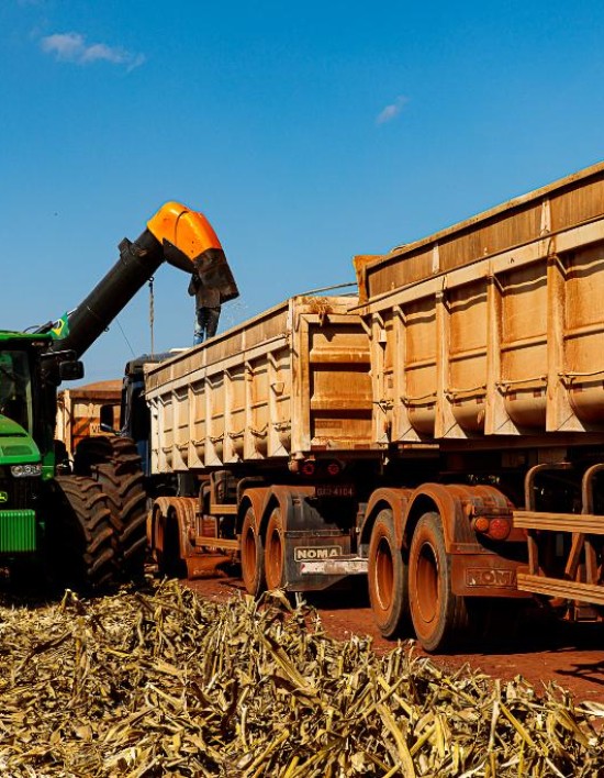Mato Grosso finaliza colheita da 2ª safra de milho com recorde de produção
