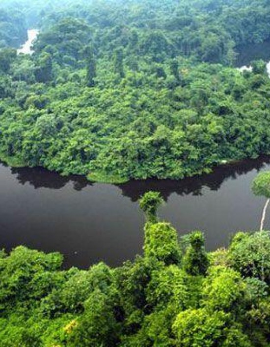 Governo de MT e O.N.E. Amazon firmam convênio de US$ 100 milhões para preservação da Amazônia