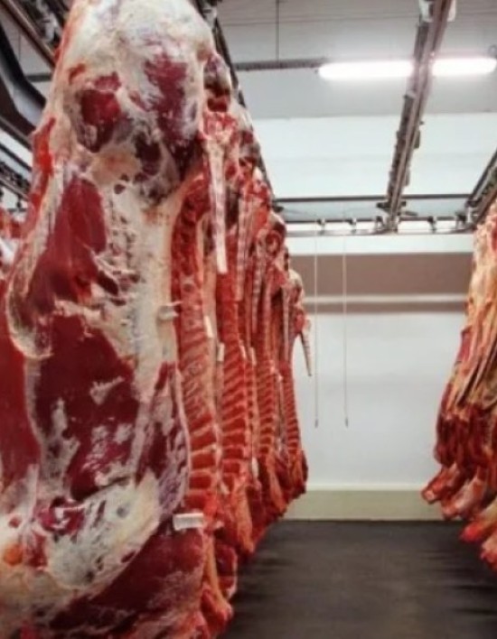 Exportações de carne bovina alcançam recorde histórico em setembro