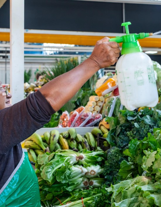 Prefeitura entrega 142 Termos de Permissão para o Mercado do Porto nesta quarta