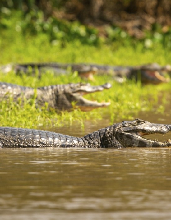 Feirão Fit Turismo oferece descontos de até 20% em viagens por Mato Grosso