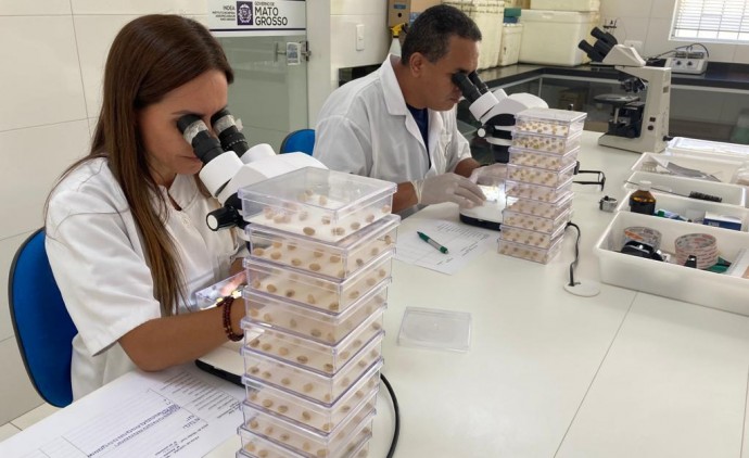 Notícia de MT Laboratório do Indea auxilia no combate a doenças na agropecuária Política MT