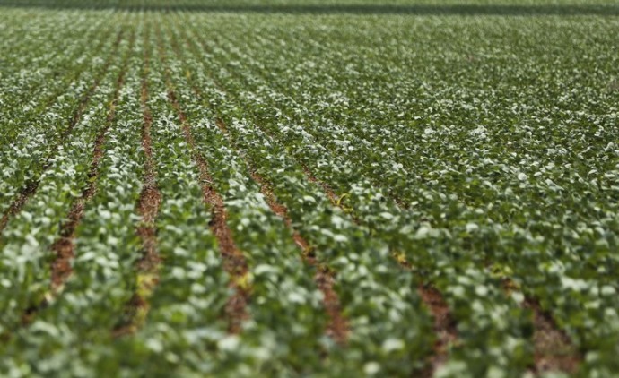 Governo Federal antecipa medidas de auxílio a produtores rurais