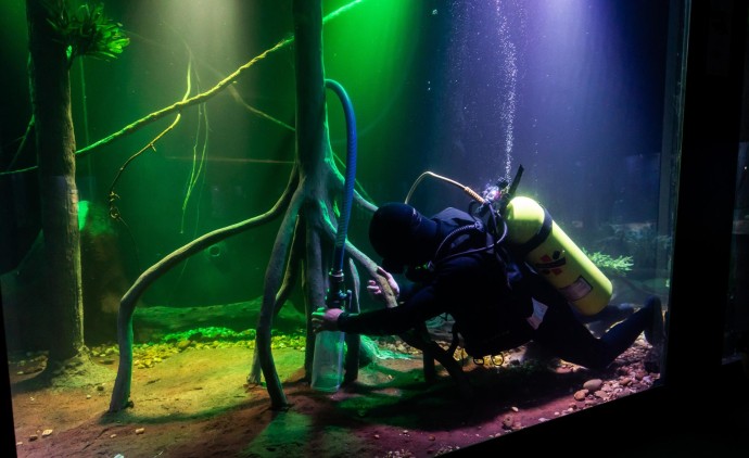 Aquário Municipal mantém limpeza e cuidados com apoio dos Bombeiros