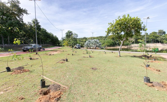 Parque das Águas recebe 200 mudas de espécies nativas