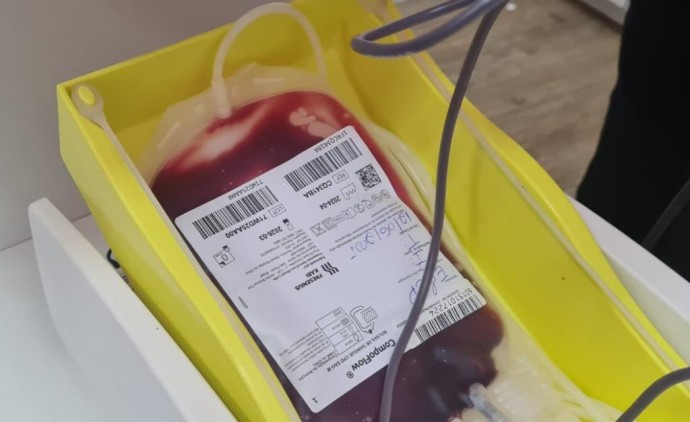 MT Hemocentro atende mais de 500 pacientes com a doença falciforme