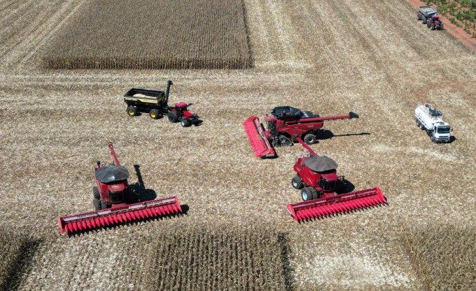 Mato Grosso dá início à colheita da segunda safra nacional de milho
