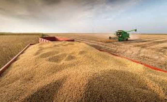 Agronegócio representa 25% do PIB e já alimenta 11% da população mundial