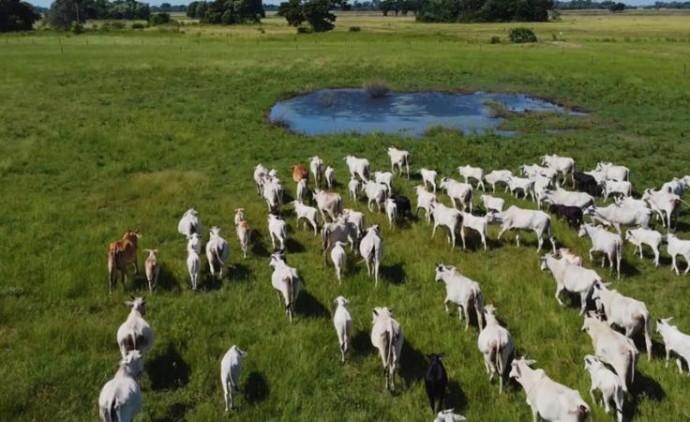 Agropecuária de MT projeta R$ 206,87 bilhões em 2025