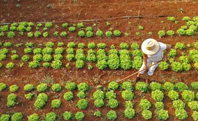 Governo anuncia R$ 12 bi para combater inadimplência no Agro
