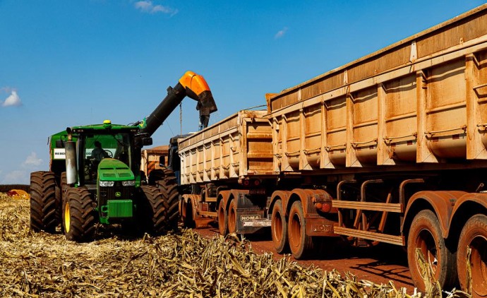 Mato Grosso finaliza colheita da 2ª safra de milho com recorde de produção