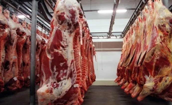 Exportações de carne bovina alcançam recorde histórico em setembro