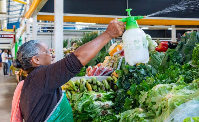 Prefeitura entrega 142 Termos de Permissão para o Mercado do Porto nesta quarta