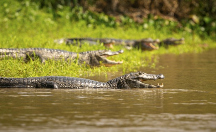 Feirão Fit Turismo oferece descontos de até 20% em viagens por Mato Grosso