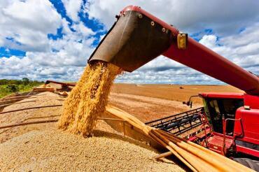 Mato Grosso terá economia aquecida em 2025, enquanto 22 estados desaceleram