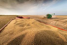 Agronegócio representa 25% do PIB e já alimenta 11% da população mundial