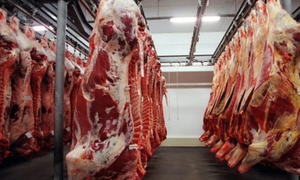 Exportações de carne bovina alcançam recorde histórico em setembro